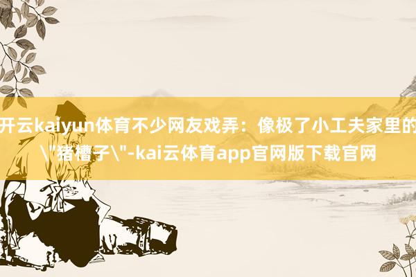 开云kaiyun体育不少网友戏弄：像极了小工夫家里的